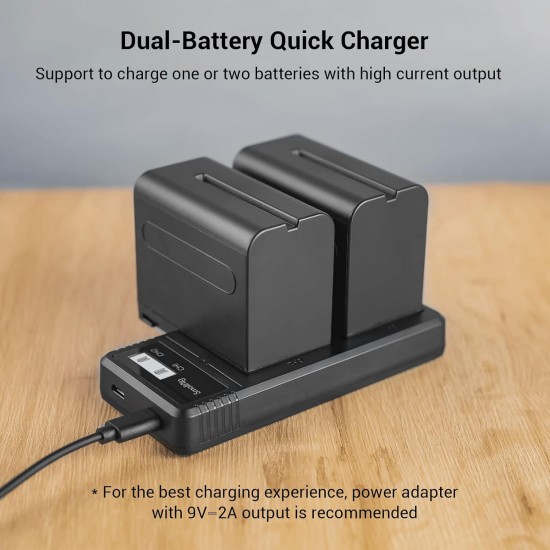 Pisen Dual USB Super Charger for Sony NP-F970